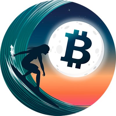 SurfinBitcoin